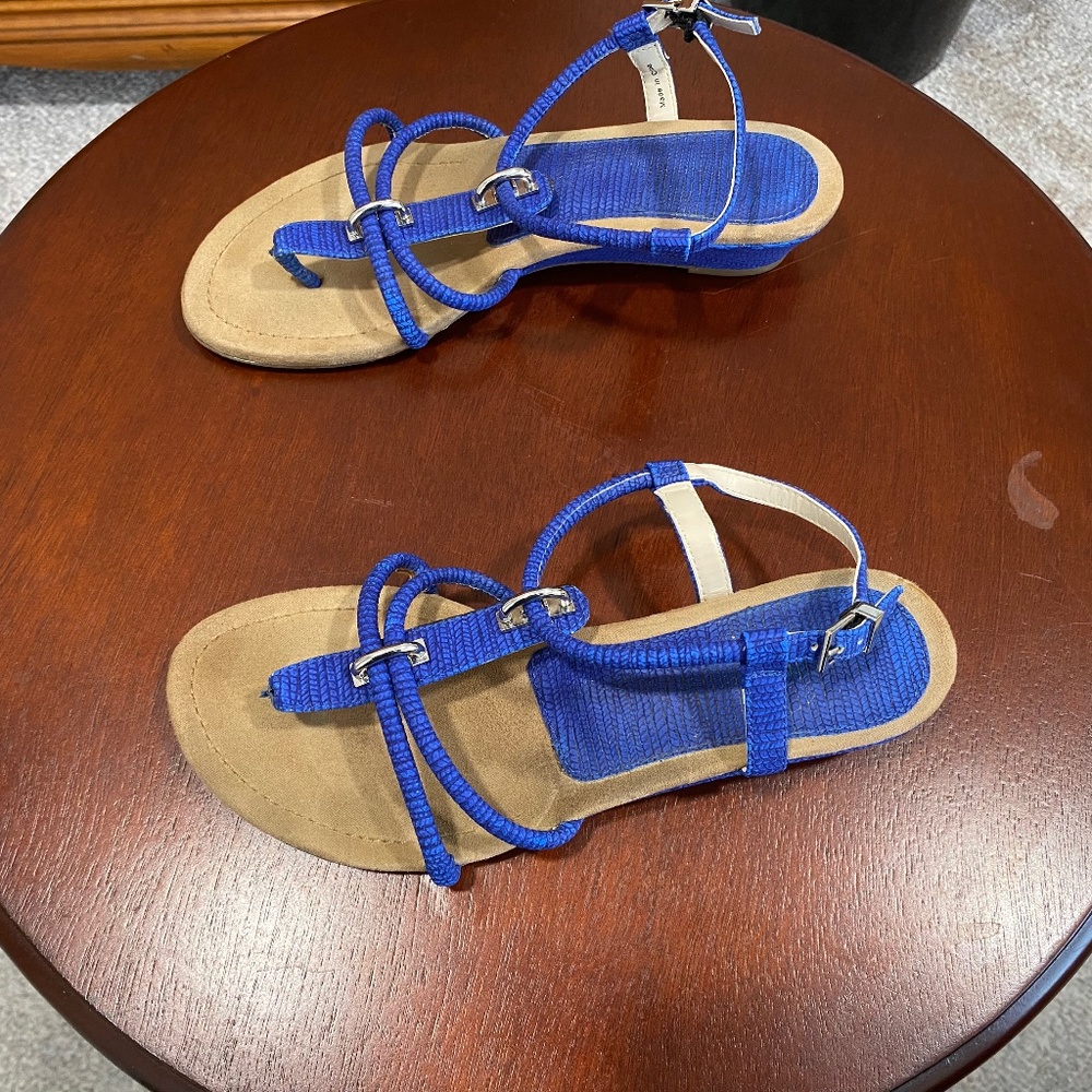 Women’s wedge heeled sandals- blue/tan